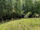 View of the grassy backyard bordered by mature trees, offering a private outdoor space at 5280 Tussahaw Xing, Mcdonough, GA 30252