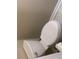 Simple toilet design with functional features at 2253 Dillard Xing, Tucker, GA 30084