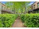 Beautifully landscaped walkway with lush green hedges lining the path to the homes at 727 Hammond Dr, Woodstock, GA 30188