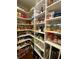 A walk-in pantry featuring custom shelving for optimal storage at 130 Inwood Walk, Woodstock, GA 30188