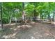 View of wooded backyard at 7830 Kings Point Dr, Cumming, GA 30041