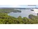 Expansive lake view featuring lush green islands and serene blue waters at 7830 Kings Point Dr, Cumming, GA 30041