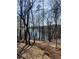 Uncultivated view of trees and lake at 7830 Kings Point Dr, Cumming, GA 30041