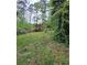 Spacious backyard featuring a classic wooden fence providing privacy and a lush green lawn at 225 Nacoochee Dr, Woodstock, GA 30188