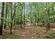 Large lot with plenty of mature trees and open space at 24 Picketts Mill Pl, Acworth, GA 30101