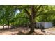 A large shade tree and swing adorn the outdoor space of this lot with mature trees and privacy at 1369 N Highway 16, Whitesburg, GA 30185