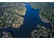 Aerial view showcasing homes nestled amidst dense trees along the lakefront at 201 Hunley Ct, Alpharetta, GA 30005