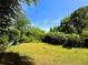 Lush backyard surrounded by mature trees, providing privacy and a tranquil outdoor space at 1900 Meadow Ln, Decatur, GA 30032