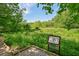 Discovering the wonders of wetland plants from a wooden boardwalk at 285 Lakemoore Ne Dr # A, Atlanta, GA 30342