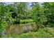 Picturesque pond surrounded by vibrant greenery and trees, offering a serene and natural view at 285 Lakemoore Ne Dr # A, Atlanta, GA 30342