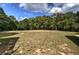Expansive backyard lined with mature trees and sunny skies above at 613 Nebo Rd, Dallas, GA 30157
