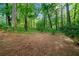 A spacious backyard featuring a wooded area, and natural scenery at 1866 Wildwood Ne Pl, Atlanta, GA 30324