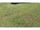 View of a green lawn in the yard of this home at 7322 Bridlewood Ct, Jonesboro, GA 30236