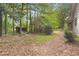 Green backyard featuring a shed and surrounding trees, providing a serene and private outdoor space at 3917 Plantation Dr, Marietta, GA 30062