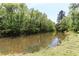 View of a serene pond surrounded by lush trees, a natural and peaceful setting at 3794 Ashford Lake Ne Ct, Brookhaven, GA 30319