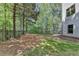 Fenced in backyard surrounded by trees with both grass and pine straw at 2725 Monet Dr, Cumming, GA 30041