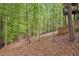 Secluded backyard featuring mature trees and natural landscaping that provides privacy at 2975 Coles Way, Atlanta, GA 30350