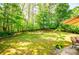 Relaxing backyard featuring well-maintained lawn, with patio dining set and lush trees at 210 Creekside Overlook, Hiram, GA 30141