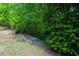 Mature trees and landscaping create a serene and private atmosphere in this lush yard at 1575 Kilmington Ct, Alpharetta, GA 30009