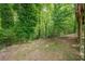 Mature trees provide a backdrop for the backyard at 3349 Old Atlanta Rd, Suwanee, GA 30024