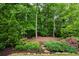 Serene backyard featuring a variety of mature trees and manicured landscaping, with colorful accents at 4231 Shamans Dr, Marietta, GA 30062