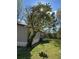Home exterior featuring lush greenery and mature trees at 170 White Rose Ln, Temple, GA 30179