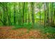 View of the lush green backyard at 4822 Westbourne Dr, Powder Springs, GA 30127