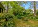 Lush greenery in backyard provides privacy and a natural landscape at 2783 Mount Olive Dr, Decatur, GA 30033