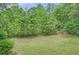 View of the backyard with lush green trees at 7112 Greenway Sw Cv, Covington, GA 30014