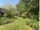 Lush backyard featuring a winding grassy path, mature trees and native plants at 4360 Pleasant Forest Dr, Decatur, GA 30034