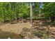 A waterfront view showcasing the tranquil lake and lush greenery surrounding the property at 5159 Sw East Shore Sw Dr, Conyers, GA 30094