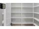 Walk-in pantry showcasing ample storage space with well-lit, custom-built shelving units for organized kitchen essentials at 51 Deer Canyon Dr, Auburn, GA 30011