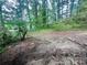 Overgrown backyard with large bare area, surrounded by small trees and dense foliage at 1263 Shoreham Dr, Atlanta, GA 30349