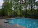 Community pool surrounded by lush, mature trees and greenery at 2122 Riverbirch Ct, Lawrenceville, GA 30044