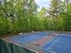 View of community tennis courts surrounded by fencing and beautiful trees at 2122 Riverbirch Ne Ct, Lawrenceville, GA 30044