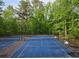 Community tennis courts with lights, surrounded by a lush green forest at 2122 Riverbirch Ne Ct, Lawrenceville, GA 30044