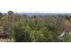 Expansive green landscape with mature trees and a glimpse of the city skyline in the distance at 4100 Paces Se Walk # 4306, Atlanta, GA 30339