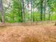 Backyard featuring tall green trees and a fence at 1485 Oglethorpe Run Ln, Suwanee, GA 30024