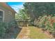 Manicured backyard features well-maintained lawn, beautiful roses and a decorative fence leading to privacy at 147 Gold Bridge Xing, Canton, GA 30114