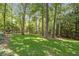 Lush backyard featuring a manicured lawn, mature trees, and plenty of space for recreation at 1880 Barrett Dr, Cumming, GA 30040
