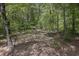 Scenic backyard view showcasing mature trees and natural foliage with a partially visible fence in the background at 4274 Revere Cir, Marietta, GA 30062