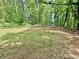 Spacious backyard with a wooded area, mature trees, and ample space at 75 Davis Mill Dr, Dallas, GA 30157