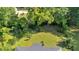 Aerial view of a large backyard featuring lush greenery, mature trees, and a designated fire pit area at 3951 Lindley Dr, Powder Springs, GA 30127