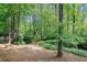 View of backyard landscaping and mature trees at 929 Hampton Nw Trl, Lilburn, GA 30047