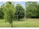 Verdant backyard with mature trees, offering a peaceful setting with lots of space at 1188 To Lani Farm Rd, Stone Mountain, GA 30083