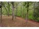 Picturesque backyard with a lush tree line offers privacy and tranquility for outdoor activities at 332 Red Fox Dr, Canton, GA 30114
