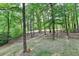 Natural setting with trees surrounding the backyard offers peace and privacy at 2973 Misty Rock Cv, Dacula, GA 30019