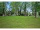 Large, grassy yard with lots of tree coverage at 2732 Elkhorn Dr, Decatur, GA 30034