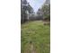 View of a large grassy backyard featuring a storage shed and surrounded by mature trees at 4064 Sunset Dr, Atlanta, GA 30331