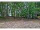 Wooded backyard with mature trees offering shade and privacy on a partially cleared lot at 5155 Amberden Hall Dr, Suwanee, GA 30024